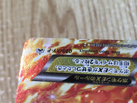 CE6339 CharizardEX - PROMO 030/XY-P Pokemon Card TCG Japan