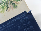 AAA1797 Mushishi Vol.1 Japanese Manga