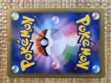 CE6339 CharizardEX - PROMO 030/XY-P Pokemon Card TCG Japan