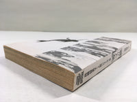 AAA1479 Eyes of the Yasha Vol.3 Japanese Manga