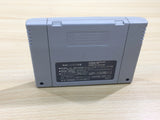 Super Nazo Puyo Rulue no Roux Puyo Puyo BOXED SNES Super Famicom Japan - UE8482