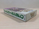 Sword World SFC BOXED SNES Super Famicom Japan - UE4756
