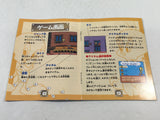 ManualOnly Tweety's High-Flying Adventure Sekai GameBoy Game Boy Japan - HA1162