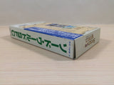 Sword World SFC BOXED SNES Super Famicom Japan - UE4756