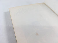 AAA1936 Stopper Busujima Vol.2 Japanese Manga