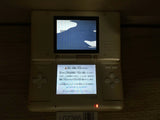 LG2385 Plz Read Item Condi Nintendo DS Pure White Console Japan