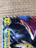 CE8953 Pikachu Zekrom tag team GX RR SM12a 041/173 Pokemon Card TCG Japan