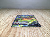 CE8751 Charizard V SAR s12a 211/172 Pokemon Card TCG Japan