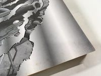 AAA1939 ARMS Vol.2 Japanese Manga