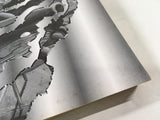 AAA1939 ARMS Vol.2 Japanese Manga