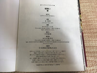 AAA1193 Usogui Vol.17 Japanese Manga