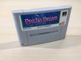 Psycho Dream BOXED SNES Super Famicom Japan - UE1951