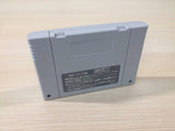 Albert Odyssey BOXED SNES Super Famicom Japan - UE1482