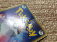CD5529 PokePark's Torchic - PROMO 047/PCG-P Pokemon Card TCG Japan