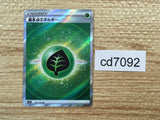 CD7092 Grass Energy SR s12a 251/172 Pokemon Card TCG Japan
