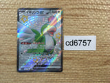 CD6757 Squawkabilly ex SSR sv4a 337/190 Pokemon Card TCG Japan