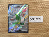 CD6759 Squawkabilly ex SSR sv4a 337/190 Pokemon Card TCG Japan