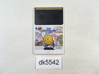 DK5542 The NewZealand Story PC Engine Japan