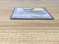 CE6561 Eevee U SC 014/020 Pokemon Card TCG Japan