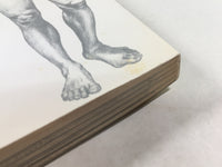 AAA1650 Thermae Romae Vol.1 Japanese Manga