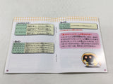 HA1177 ManualOnly Pokemon Pikachu Yellow GameBoy Game Boy Japan