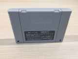Super Casino Caesars Palace BOXED SNES Super Famicom Japan - UE4506