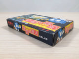 Egger Land Meikyuu no Adventures of Lolo BOXED NES Famicom Japan - UE2531
