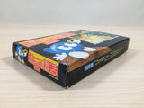 Egger Land Meikyuu no Adventures of Lolo BOXED NES Famicom Japan - UE2531