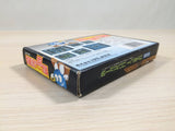 Egger Land Meikyuu no Adventures of Lolo BOXED NES Famicom Japan - UE2531