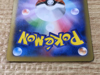 CE6563 CharizardEX - PROMO 030/XY-P Pokemon Card TCG Japan