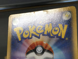 CE6563 CharizardEX - PROMO 030/XY-P Pokemon Card TCG Japan