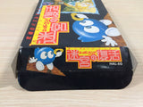 Egger Land Meikyuu no Adventures of Lolo BOXED NES Famicom Japan - UE2531
