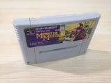 Monster Maker 3 Hikari no Majyutsushi BOXED SNES Super Famicom Japan - UE1488
