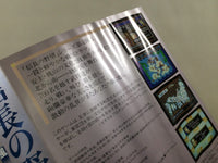 UE4618 Nobunaga no Yabou Busho Fuunroku BOXED NES Famicom Japan
