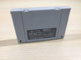 TMNT Turtles Mutant Warriors BOXED SNES Super Famicom Japan - UE2696