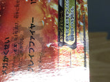 CE6564 CharizardEX - PROMO 030/XY-P Pokemon Card TCG Japan