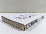 Fullmetal Alchemist Vol.13 Japanese Manga - AAA2448