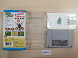 Libble Rabble BOXED SNES Super Famicom Japan - UE3468