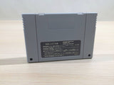 Libble Rabble BOXED SNES Super Famicom Japan - UE3468