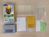 Sky Mission Wings 2 Aces High Blazing Skies BOXED SNES SuperFamicom - UE1096