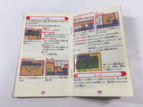 ManualOnly Pokemon Mystery Dungeon Red Rescue Team GameBoy Advance - HA1193