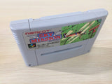 Sky Mission Wings 2 Aces High Blazing Skies BOXED SNES SuperFamicom - UE1096