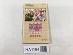 HA1194 ManualOnly Negima Magister Negi Magi Private Lesson GameBoy Advance Japan
