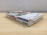 Fushigi no Dungeon Furai no Shiren 2 BOXED N64 Nintendo 64 Japan - UE6395