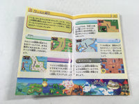 HA1196 ManualOnly Kuru Kuru Kururin GameBoy Advance Japan