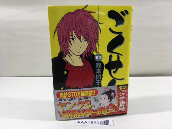 AAA1823 Gokusen Vol.11 Japanese Manga