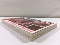 AAA1960 Spriggan Vol.3 Japanese Manga