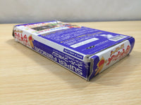 UE5601 Super Nazo Puyo Rulue no Roux Puyo Puyo BOXED SNES Super Famicom Japan