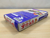 UE5601 Super Nazo Puyo Rulue no Roux Puyo Puyo BOXED SNES Super Famicom Japan