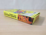 The Mask BOXED SNES Super Famicom Japan - UE1363